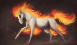 Ponyta - Terminal ♂